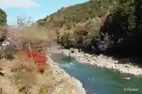 安養寺(立木観音)(滋賀県)