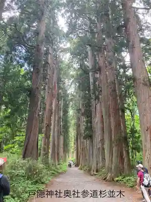 戸隠神社九頭龍社(長野県)