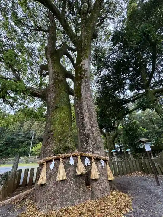 住吉神社の{uncategorized: "未分類", other: "その他", undefined: "問題あり", building: "その他建物", grave: "お墓", sacred_gate: "鳥居", guardian: "狛犬", statue: "像", buddha: "仏像", history: "歴史", nature: "自然", garden: "庭園", animal: "動物", pagoda: "塔", temizu: "手水舎", mountain_gate: "山門・神門", sanctuary: "本殿・本堂", subordinate: "末社・摂社", art: "芸術", scenery: "景色", jizo: "地蔵", ema: "絵馬", goshuin: "御朱印", omikuji: "おみくじ", items: "授与品その他", amulet: "お守り", goshuincho: "御朱印帳", eats: "食事", festival: "お祭り", votive_dance: "神楽", shichigosan: "七五三参", wedding: "結婚式", experience: "体験その他", initially: "初詣", around: "周辺", anti_infection: "感染症対策"}