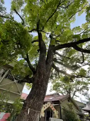 皇大神社の自然