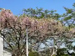 大生郷天満宮の庭園