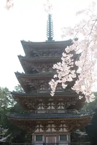醍醐寺の{uncategorized: "未分類", other: "その他", undefined: "問題あり", building: "その他建物", grave: "お墓", sacred_gate: "鳥居", guardian: "狛犬", statue: "像", buddha: "仏像", history: "歴史", nature: "自然", garden: "庭園", animal: "動物", pagoda: "塔", temizu: "手水舎", mountain_gate: "山門・神門", sanctuary: "本殿・本堂", subordinate: "末社・摂社", art: "芸術", scenery: "景色", jizo: "地蔵", ema: "絵馬", goshuin: "御朱印", omikuji: "おみくじ", items: "授与品その他", amulet: "お守り", goshuincho: "御朱印帳", eats: "食事", festival: "お祭り", votive_dance: "神楽", shichigosan: "七五三参", wedding: "結婚式", experience: "体験その他", initially: "初詣", around: "周辺", anti_infection: "感染症対策"}