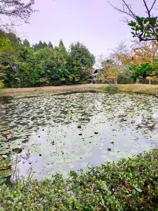 酬恩庵一休寺(京都府)