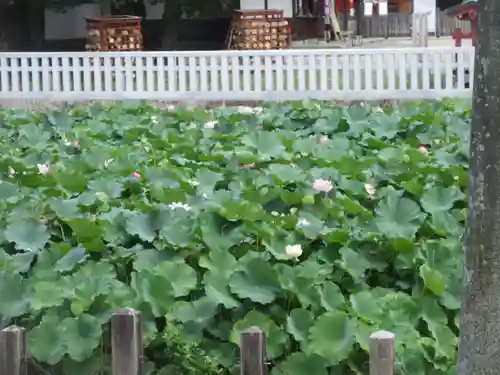 伊賀八幡宮(愛知県)