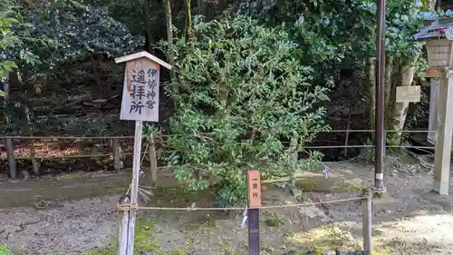 新宮神社（賀茂別雷神社摂社）の末社・摂社