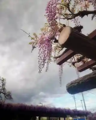 秋葉神社(愛知県)