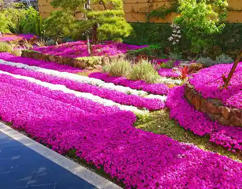 寿量山　速成寺(奈良県)