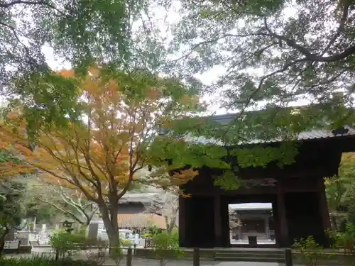 妙本寺の山門