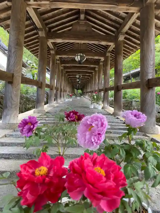 長谷寺(奈良県)