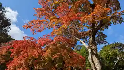 二尊院(京都府)