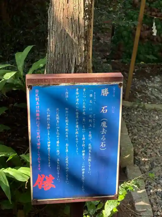 下野 星宮神社(栃木県)