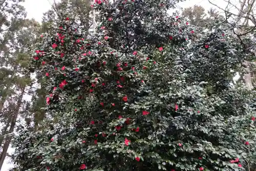 鹿島大神宮の自然