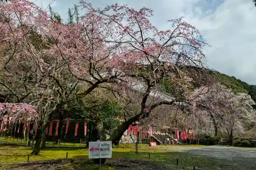 醍醐寺(京都府)