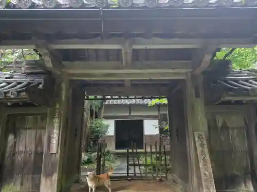 高貴寺(大阪府)