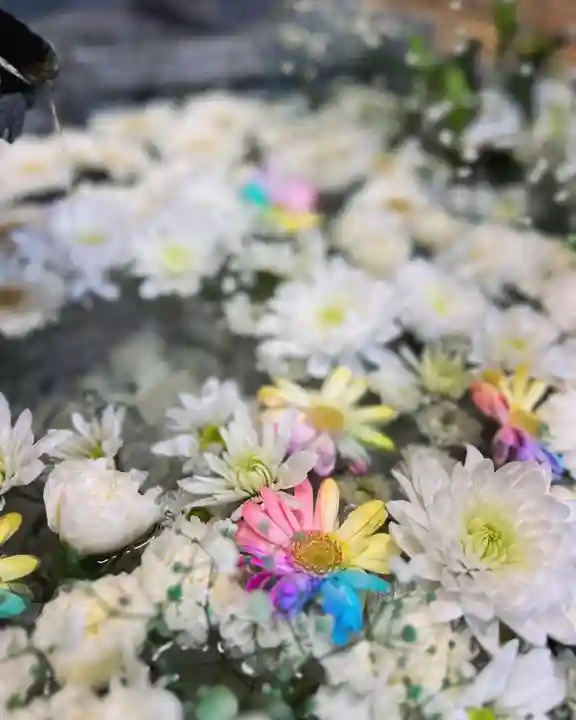 札幌諏訪神社の手水舎