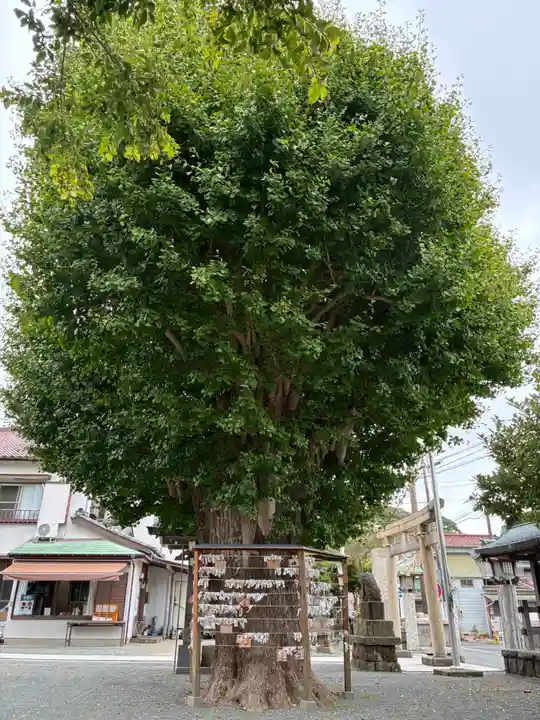 鴨居八幡神社(神奈川県)