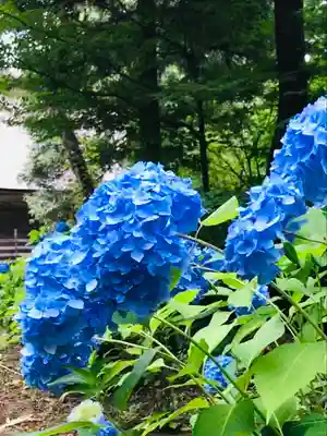 密蔵院米山寺の自然