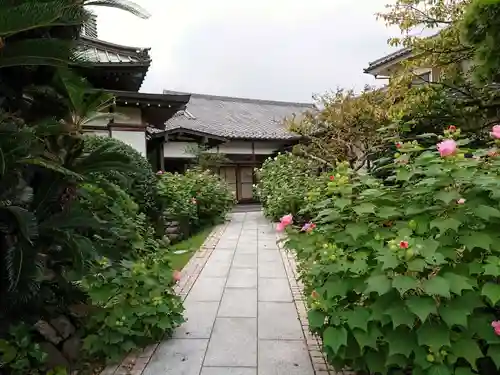 浄泉寺の庭園