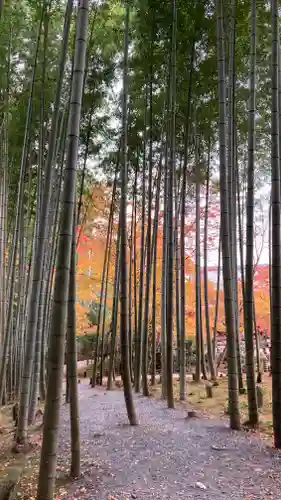 圓光寺(京都府)