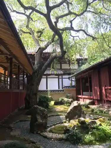 十輪寺の庭園