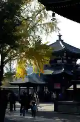 一心寺の建物その他