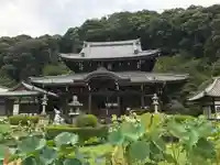 三室戸寺の本殿・本堂