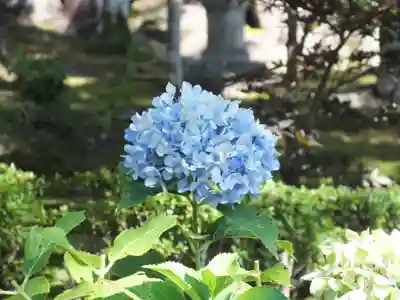 瓦屋寺(滋賀県)