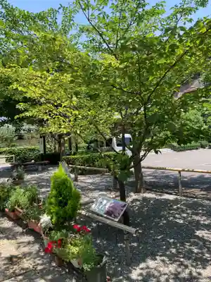 浄土寺(神奈川県)