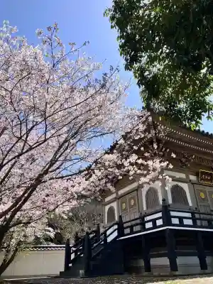 妙法寺(佐賀県)