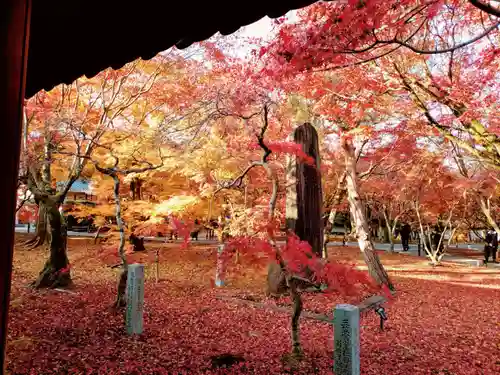 東福禅寺（東福寺）(京都府)