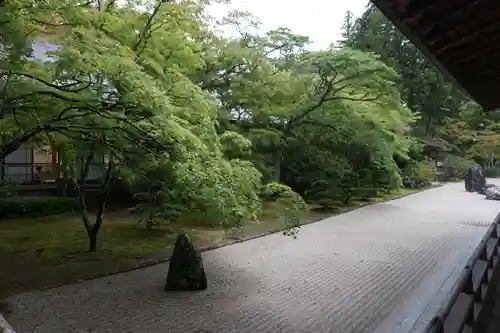 高野山金剛峯寺の庭園