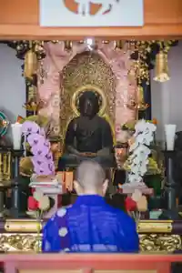 普門寺(切り絵御朱印発祥の寺)の仏像(2022年01月02日(日) 12時36分02秒投稿)