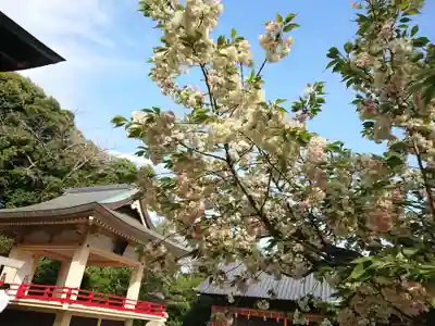 上地八幡宮のその他建物