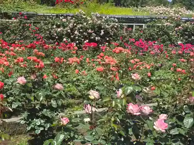 霊山寺(奈良県)