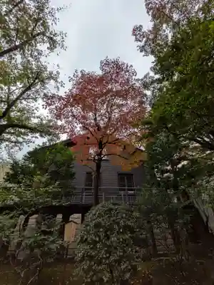 乃木神社(東京都)