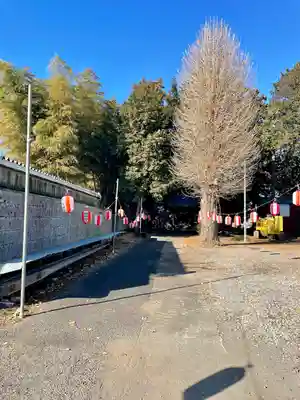 雷電神社(栃木県)
