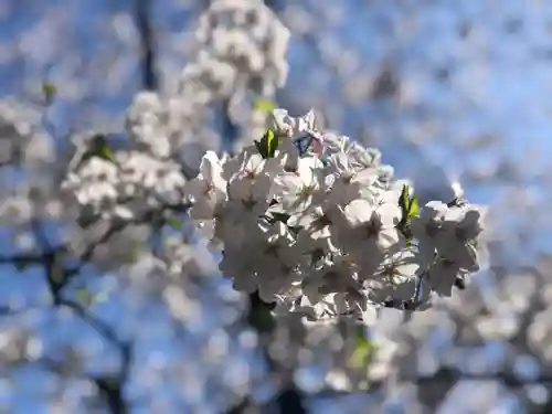 靖國神社(東京都)