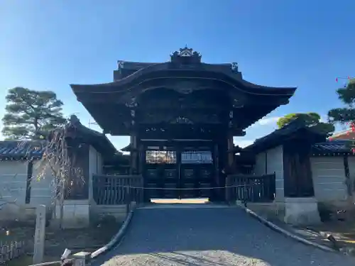 仁和寺の山門