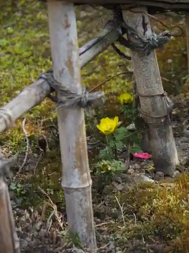 浄妙寺の{uncategorized: "未分類", other: "その他", undefined: "問題あり", building: "その他建物", grave: "お墓", sacred_gate: "鳥居", guardian: "狛犬", statue: "像", buddha: "仏像", history: "歴史", nature: "自然", garden: "庭園", animal: "動物", pagoda: "塔", temizu: "手水舎", mountain_gate: "山門・神門", sanctuary: "本殿・本堂", subordinate: "末社・摂社", art: "芸術", scenery: "景色", jizo: "地蔵", ema: "絵馬", goshuin: "御朱印", omikuji: "おみくじ", items: "授与品その他", amulet: "お守り", goshuincho: "御朱印帳", eats: "食事", festival: "お祭り", votive_dance: "神楽", shichigosan: "七五三参", wedding: "結婚式", experience: "体験その他", initially: "初詣", around: "周辺", anti_infection: "感染症対策"}