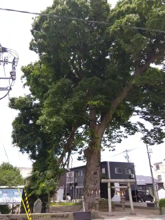 八心大市比古神社(富山県)