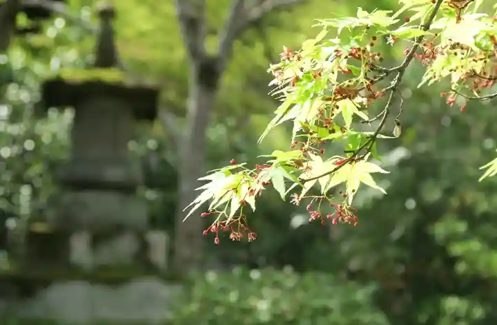 善法律寺(京都府)