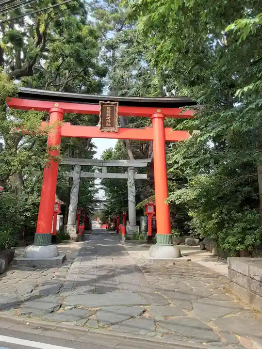 馬橋稲荷神社の鳥居