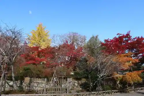 二尊院(京都府)