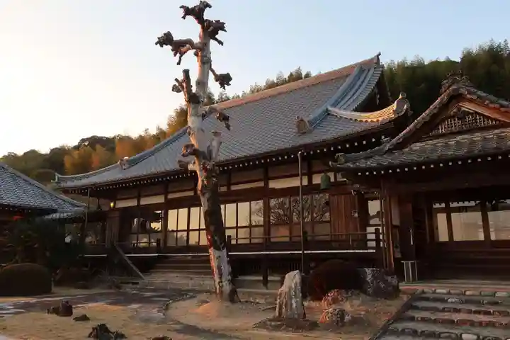 東林寺(静岡県)