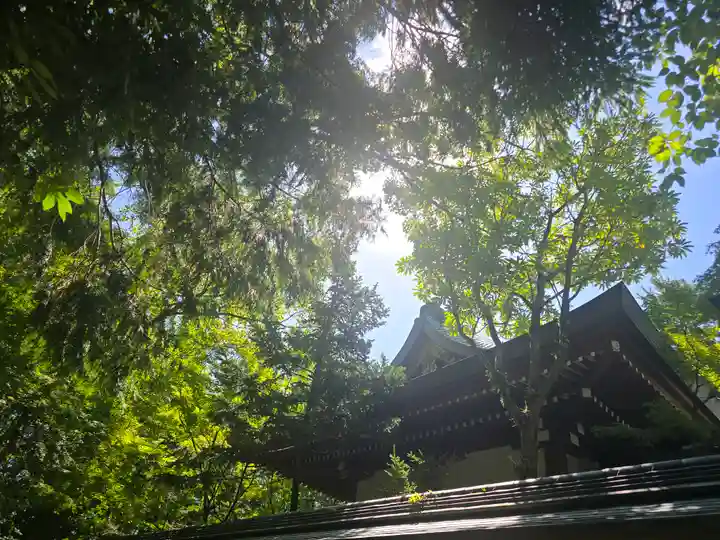 御霊神社(上御霊神社)(京都府)