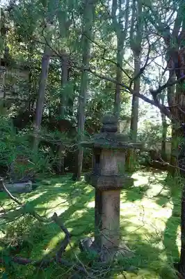 善慧院の庭園