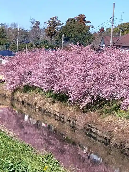鷲宮神社の周辺