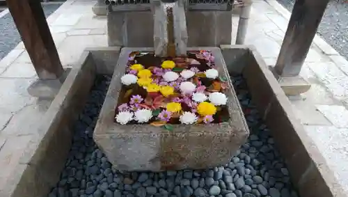 くろ谷 金戒光明寺の手水舎