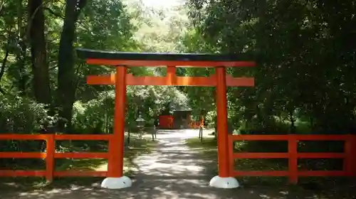 半木神社（賀茂別雷神社境外末社）の鳥居
