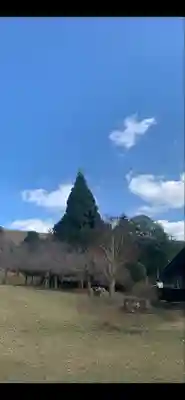 手向山八幡宮(奈良県)